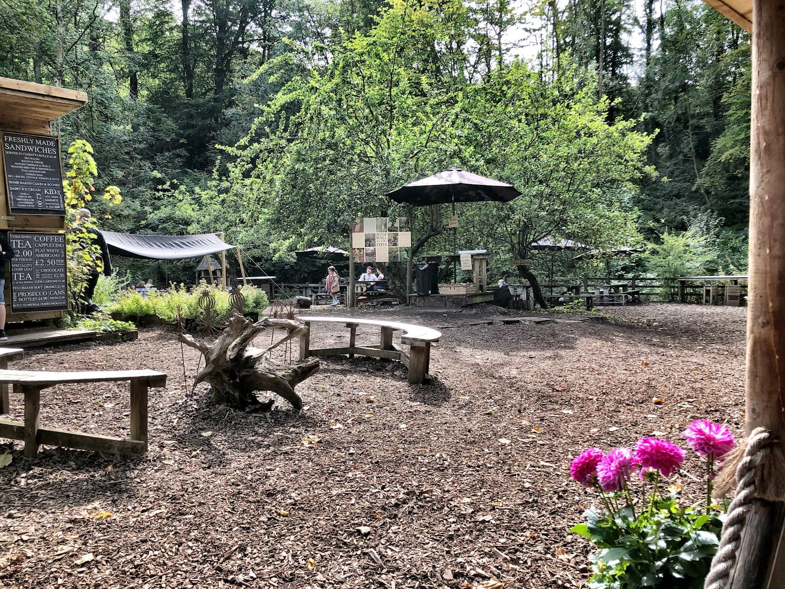 Falling Foss Waterfall and Tea Garden - Image 1