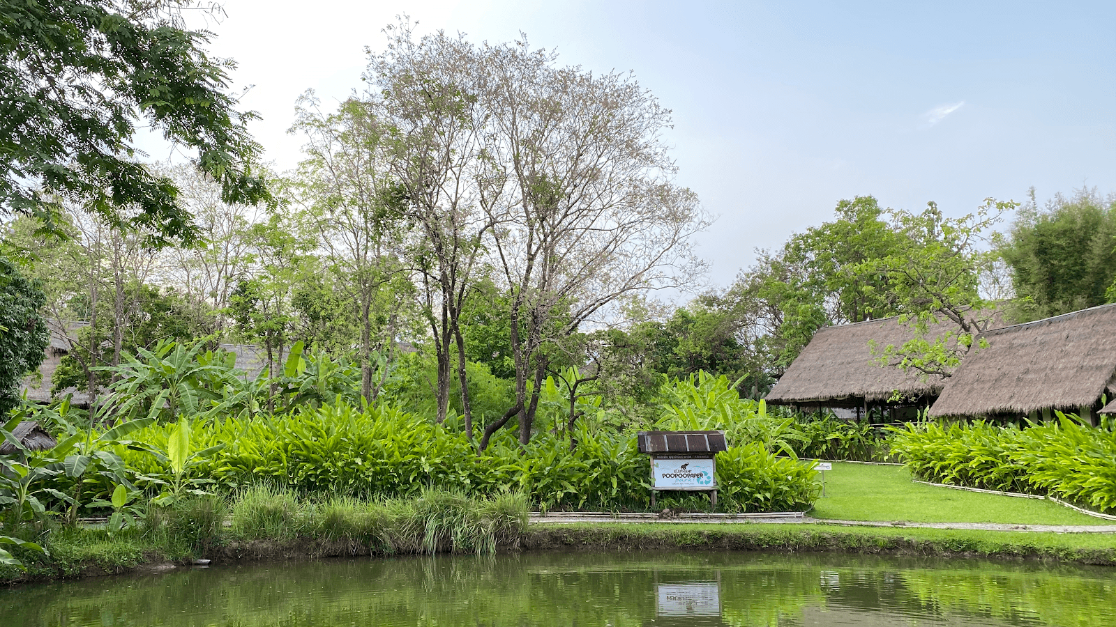 Eco-Friendly Souvenirs