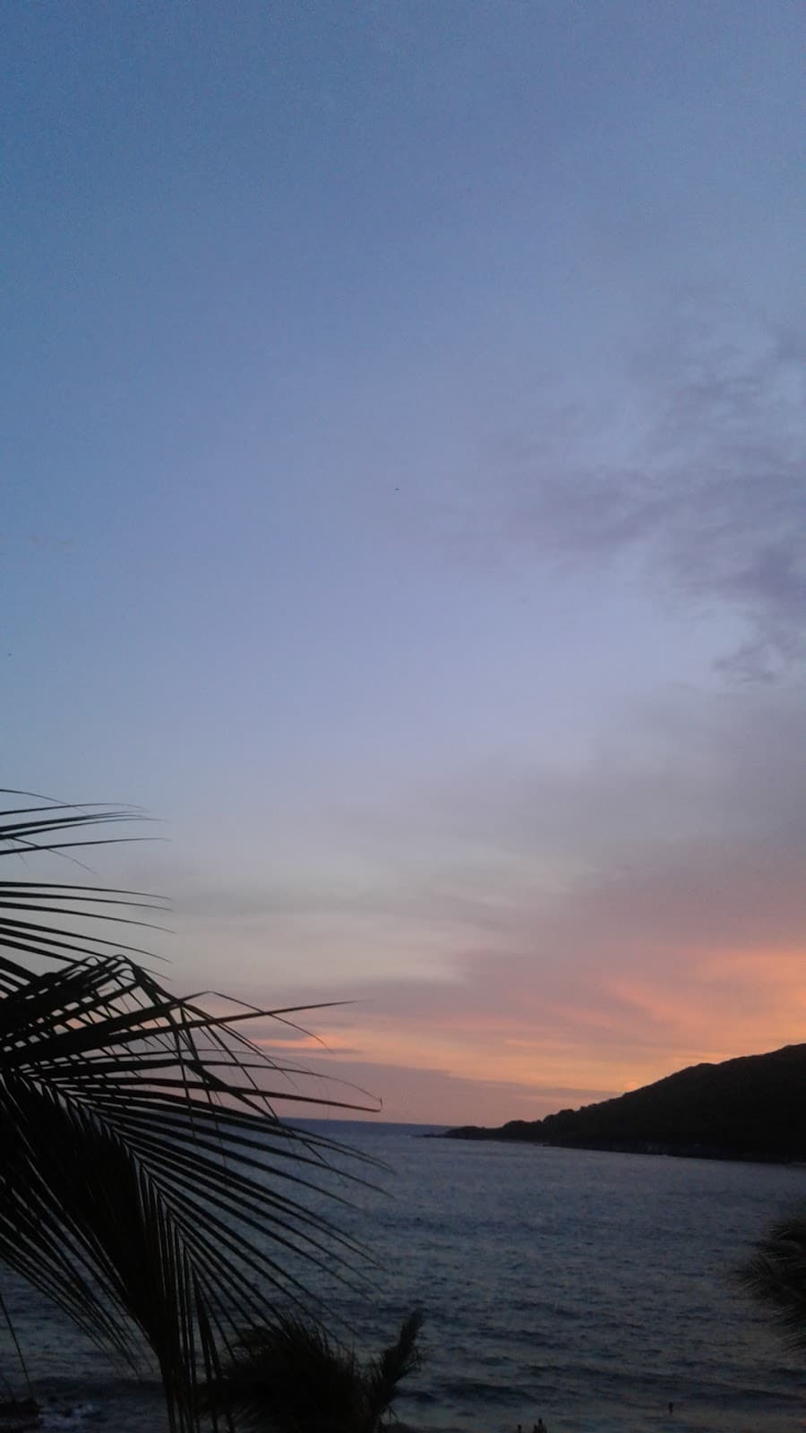 Avenida Camarón Sábalo - Image 1