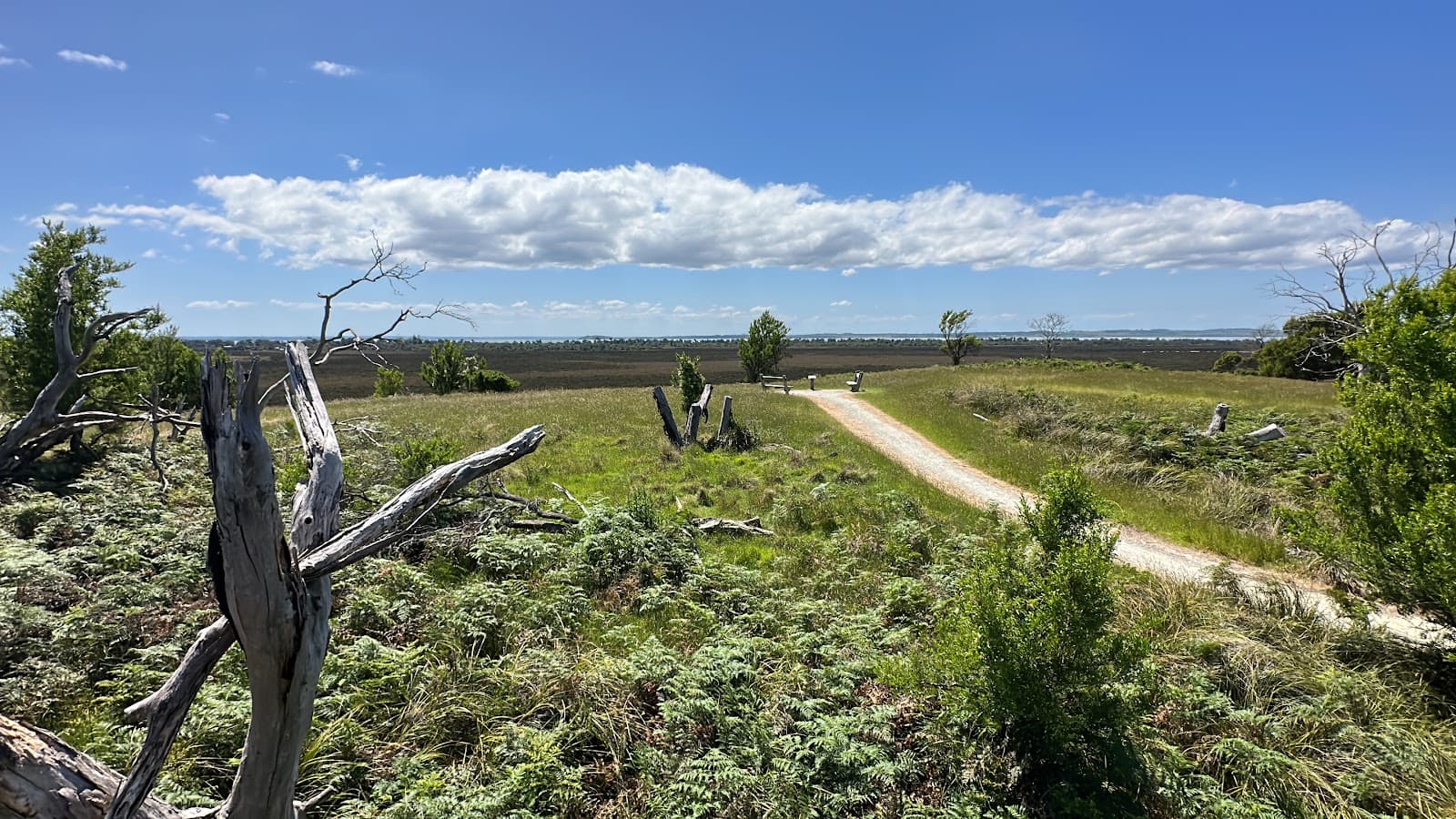 Conservation Hill & Rhyll Inlet - Image 1