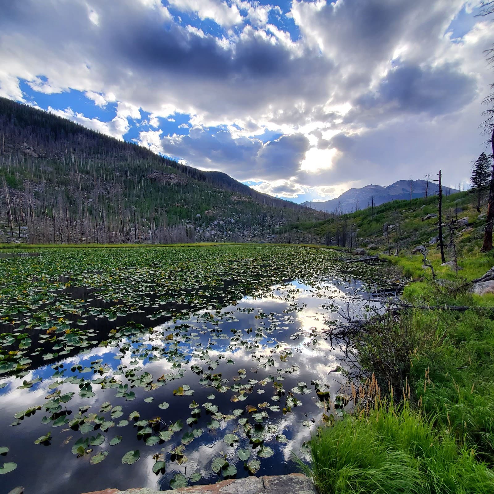 Cub Lake - Image 1