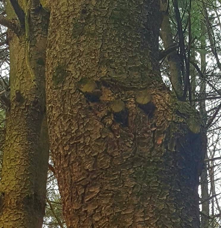 Quiet Reflection Spots