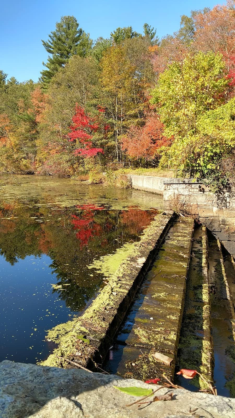 Waterfall & Pond Loop