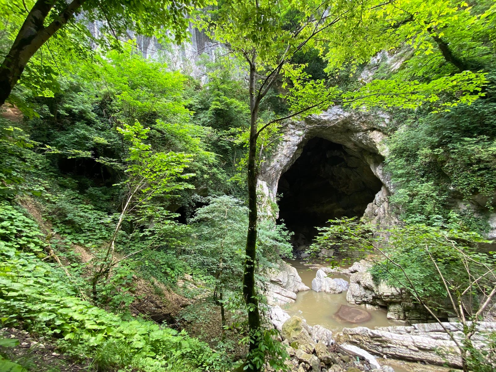Tsutskhvati Cave - Image 1