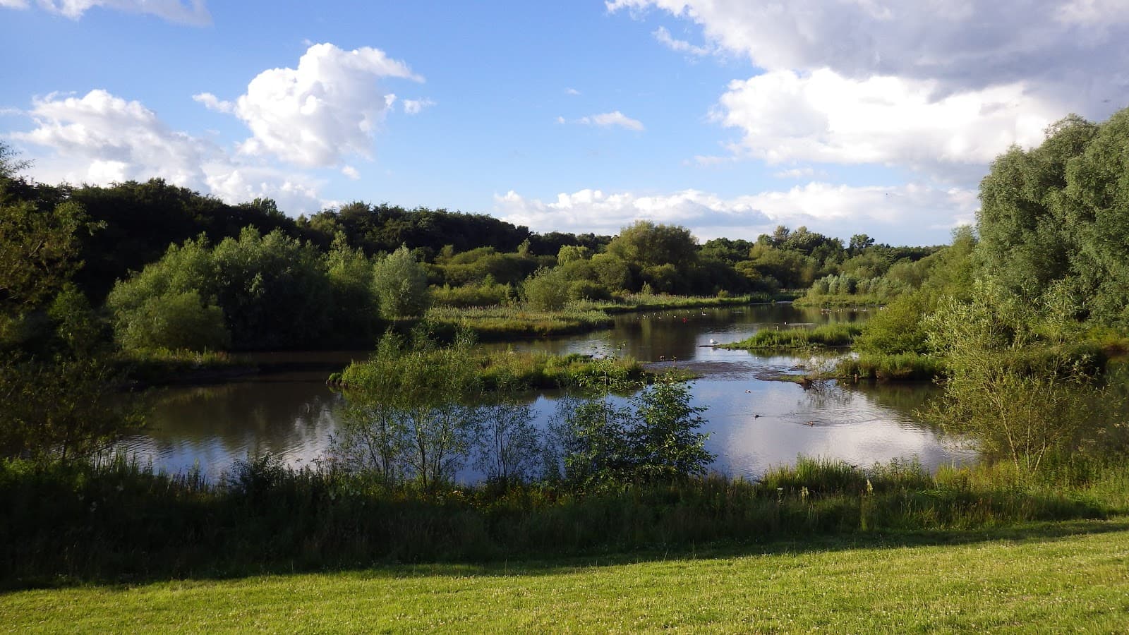 Mill Green Nature Reserve - Image 1