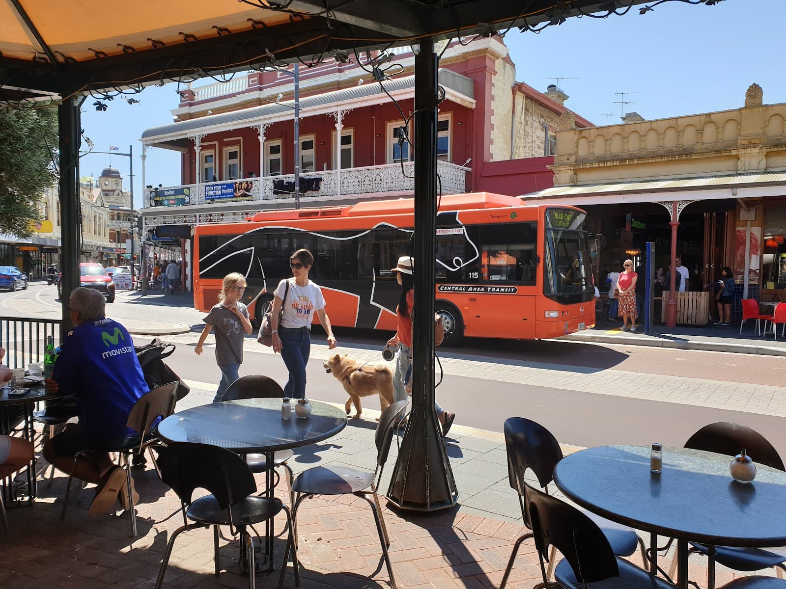 Cappuccino Strip South Terrace - Image 1