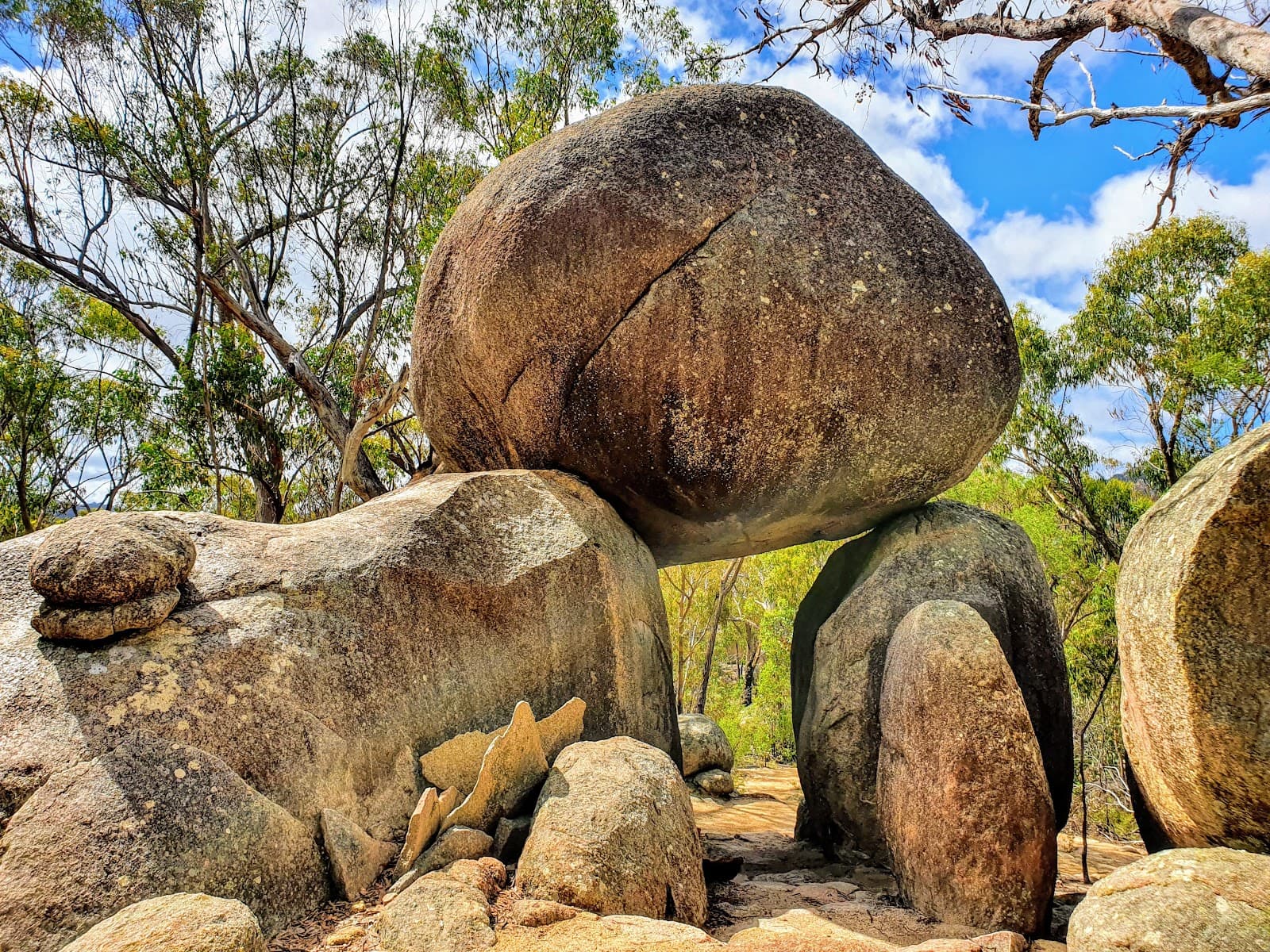 Girraween National Park - Image 1
