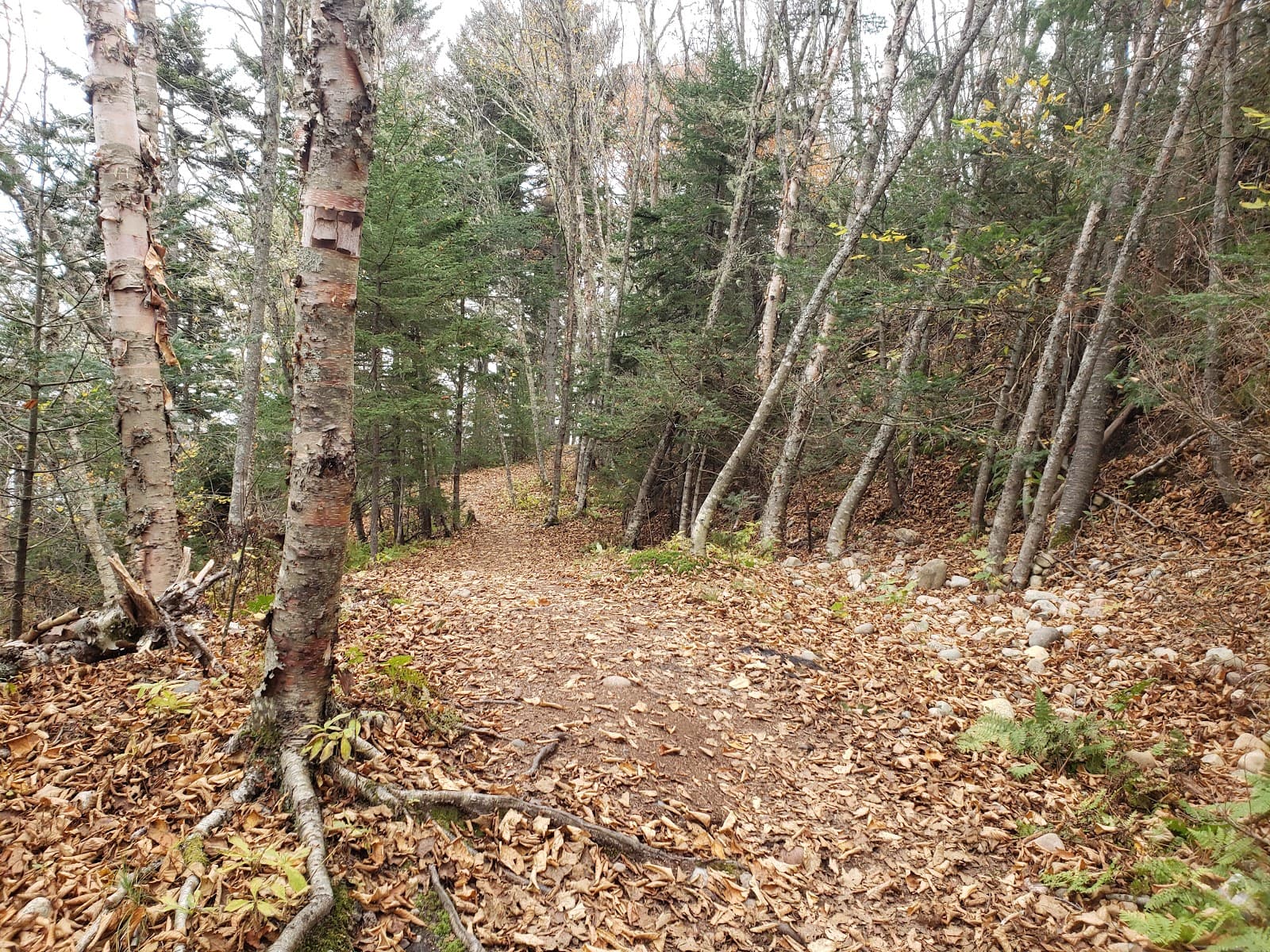 Sheldon Point Lookout - Image 1