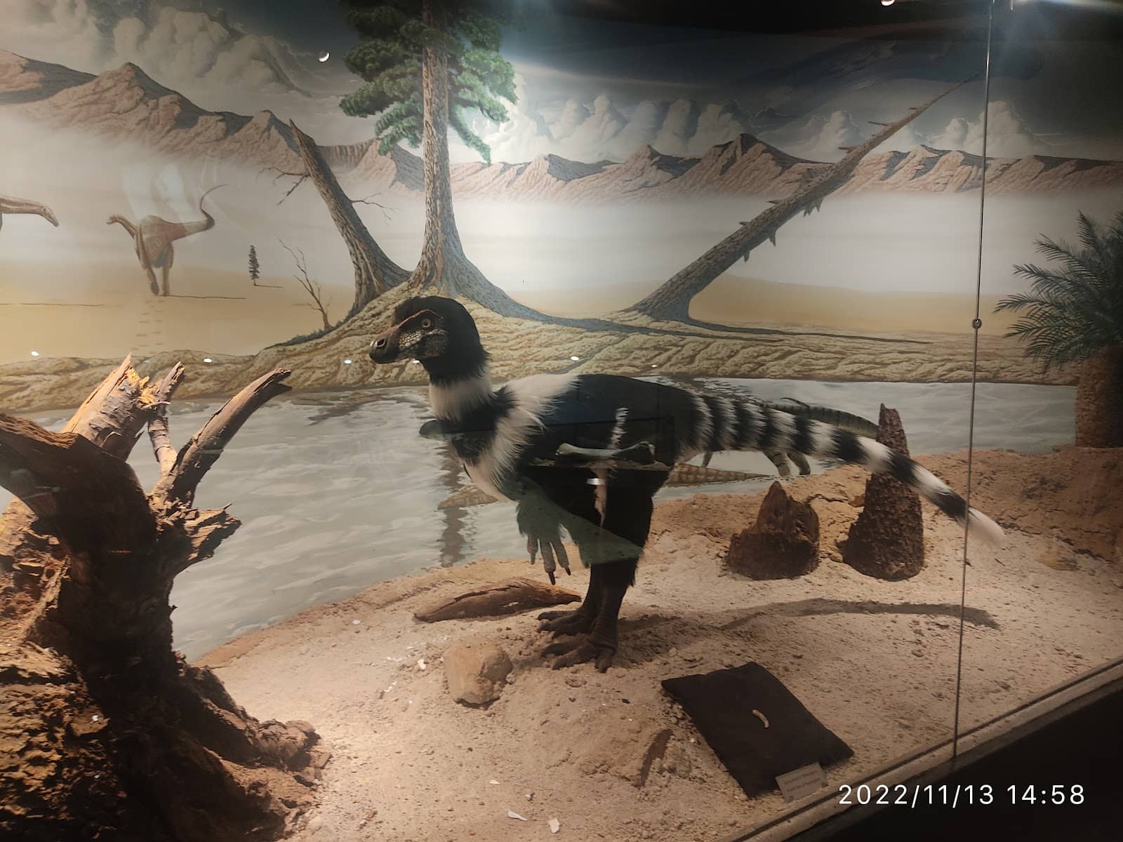 Paleontologist at Work