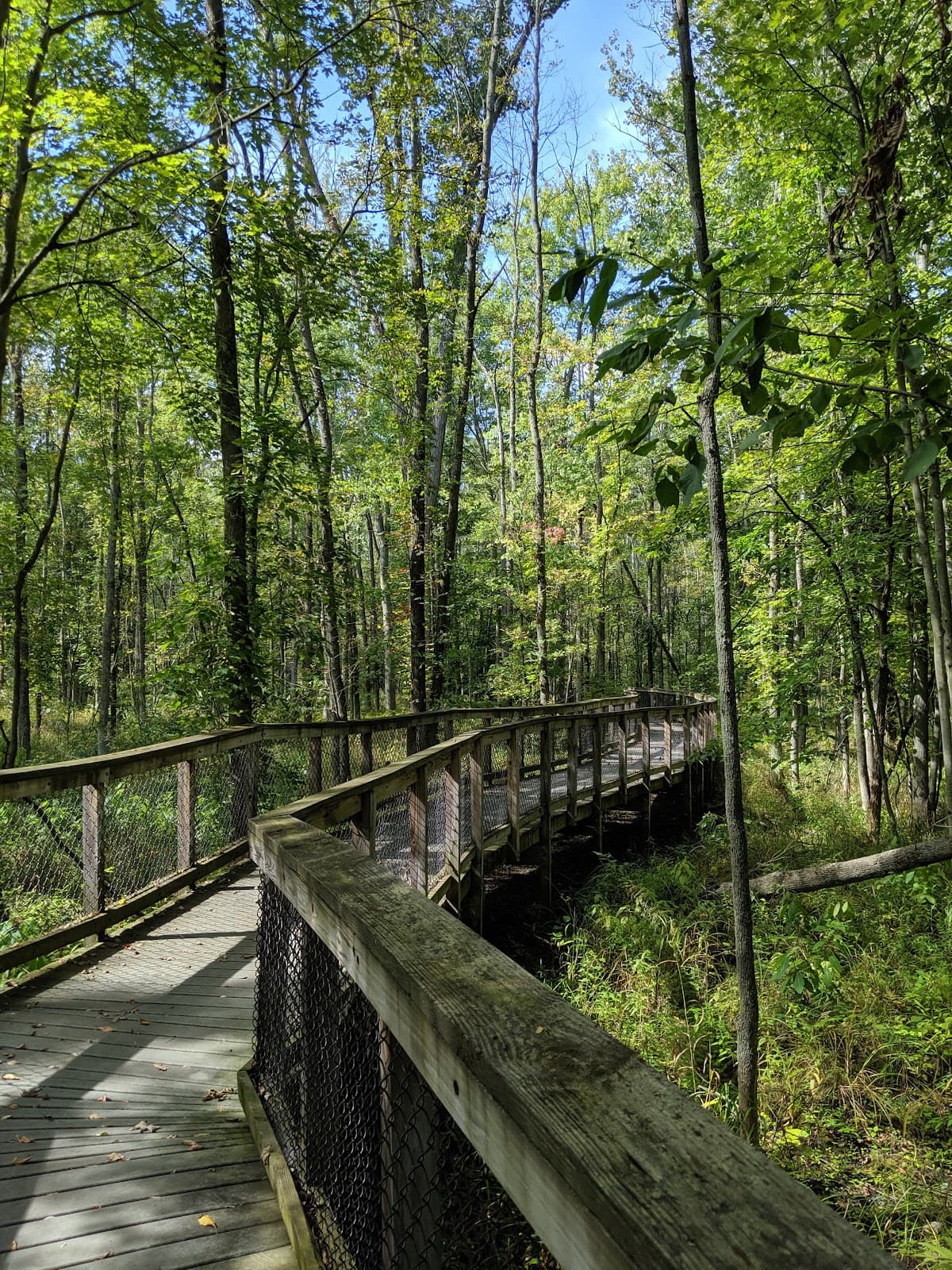 Iroquois National Wildlife Refuge - Image 1