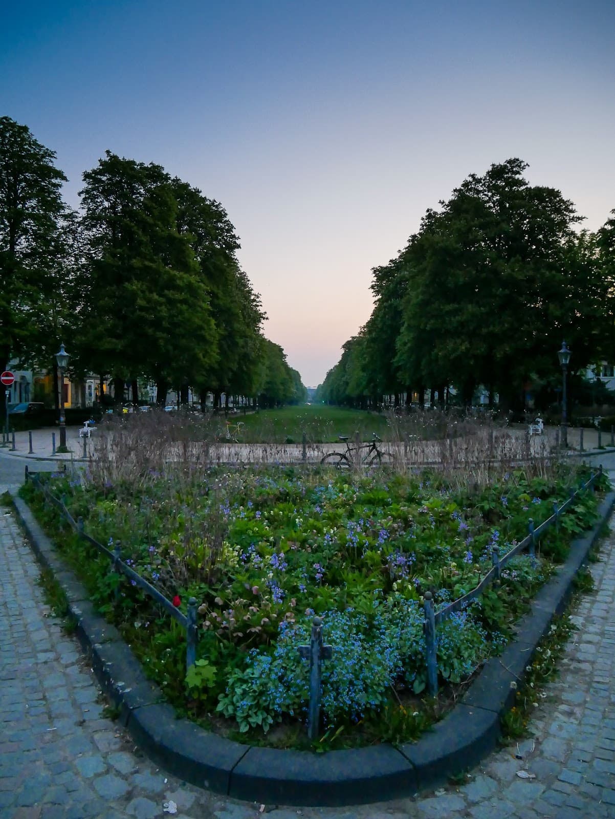 Poppelsdorfer Allee Bonn - Image 1