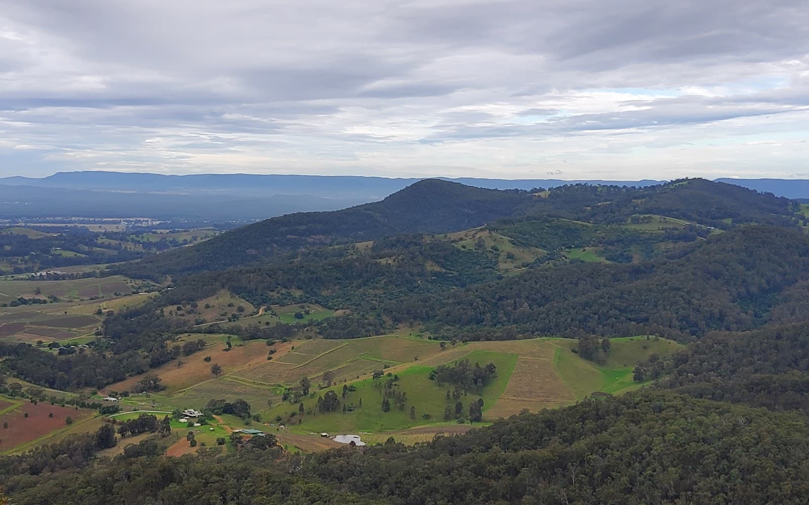 Pokolbin State Forest - Image 1