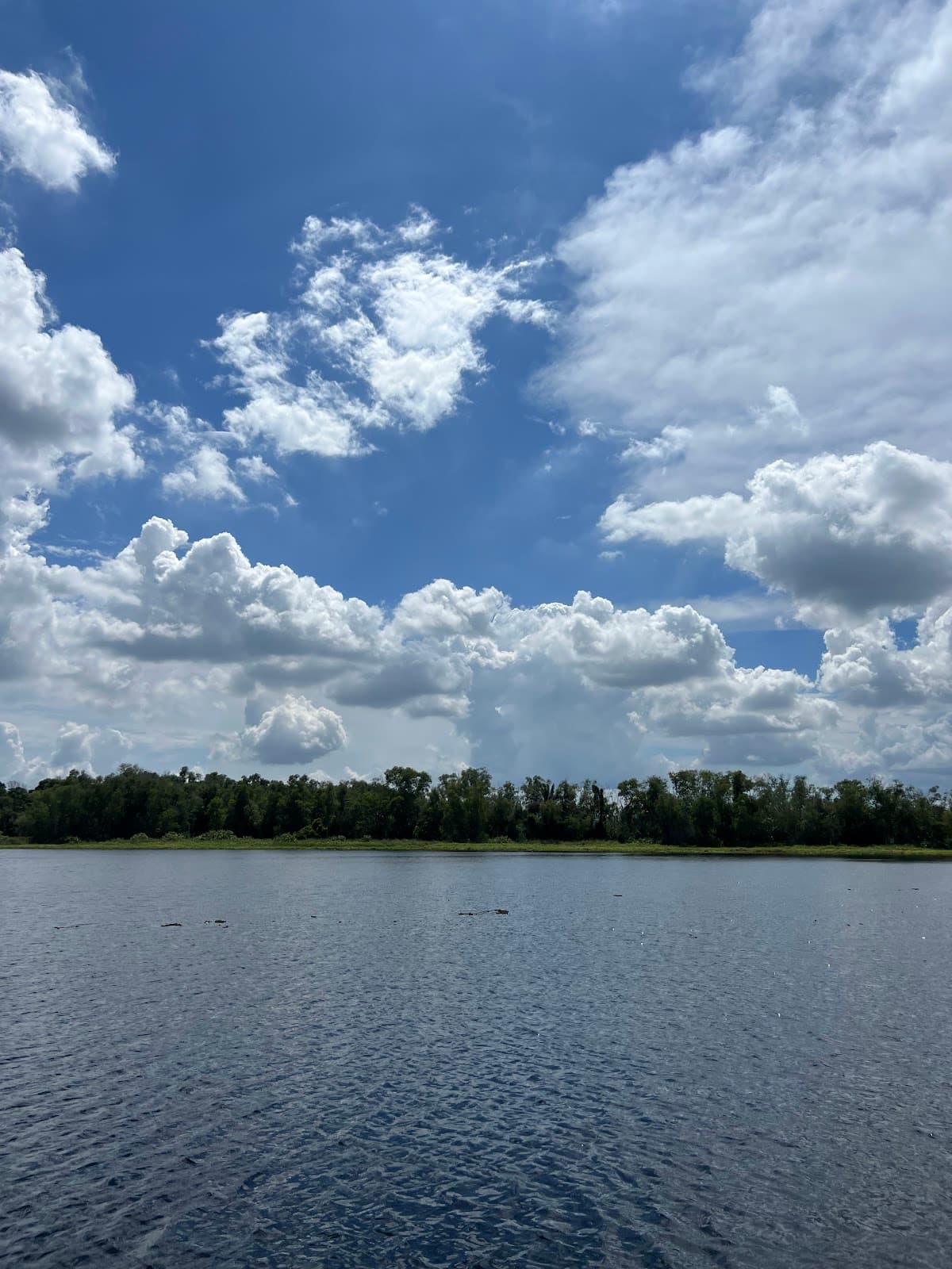 Paya Indah Discovery Wetlands Centre - Image 1