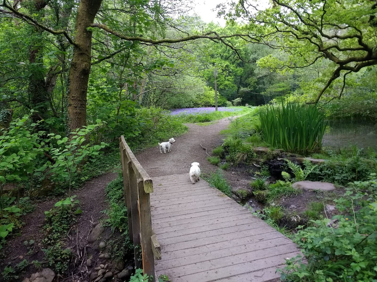 Sirhowy Valley Country Park - Image 1