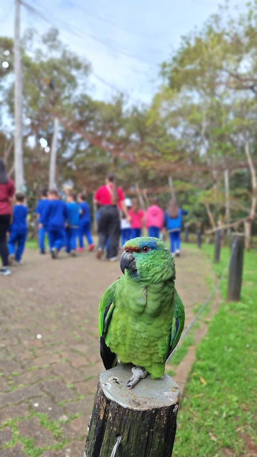 Gramado Zoo - Image 1