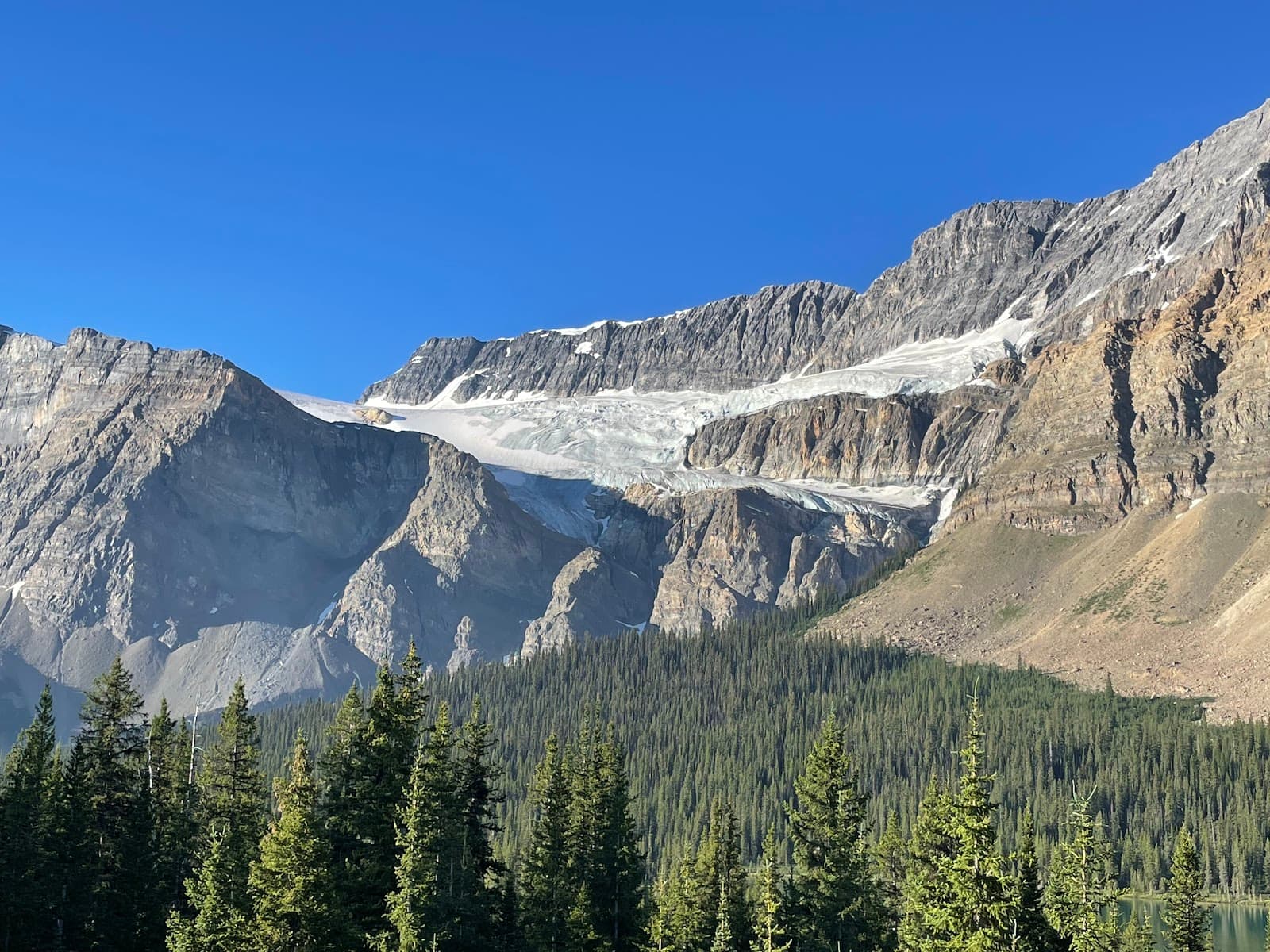 Crowfoot Glacier Viewpoint - Image 1