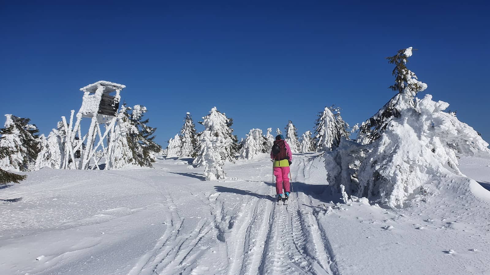 Traditional Romanian Scenery