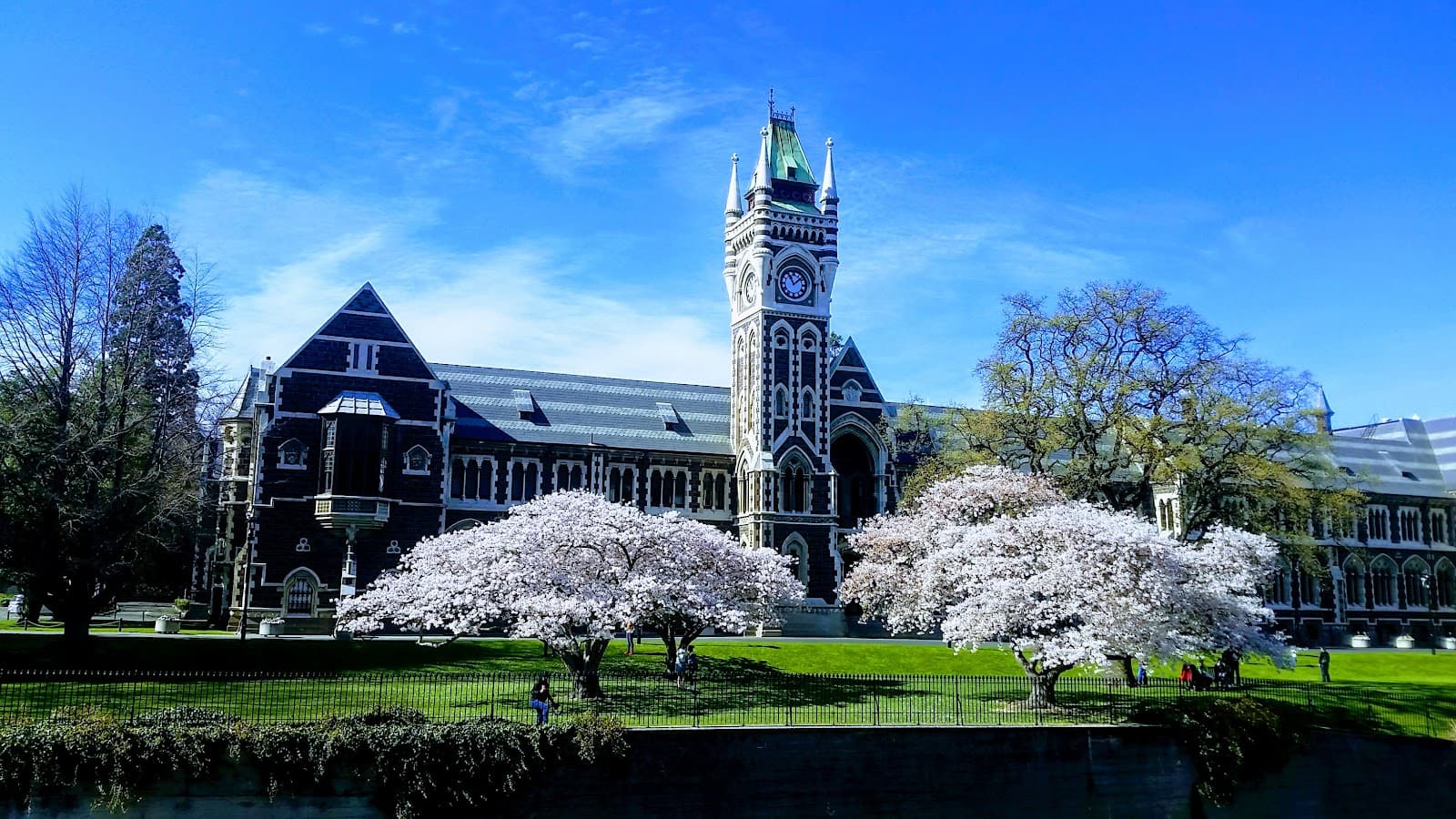 University of Otago Clocktower - Image 1