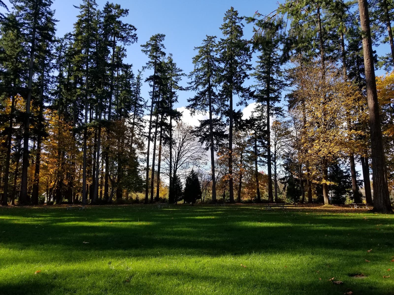 Legion Park (Woodburn) - Image 1