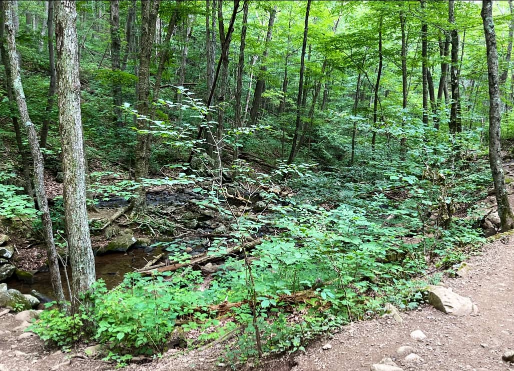 Skyline Drive Scenic Route