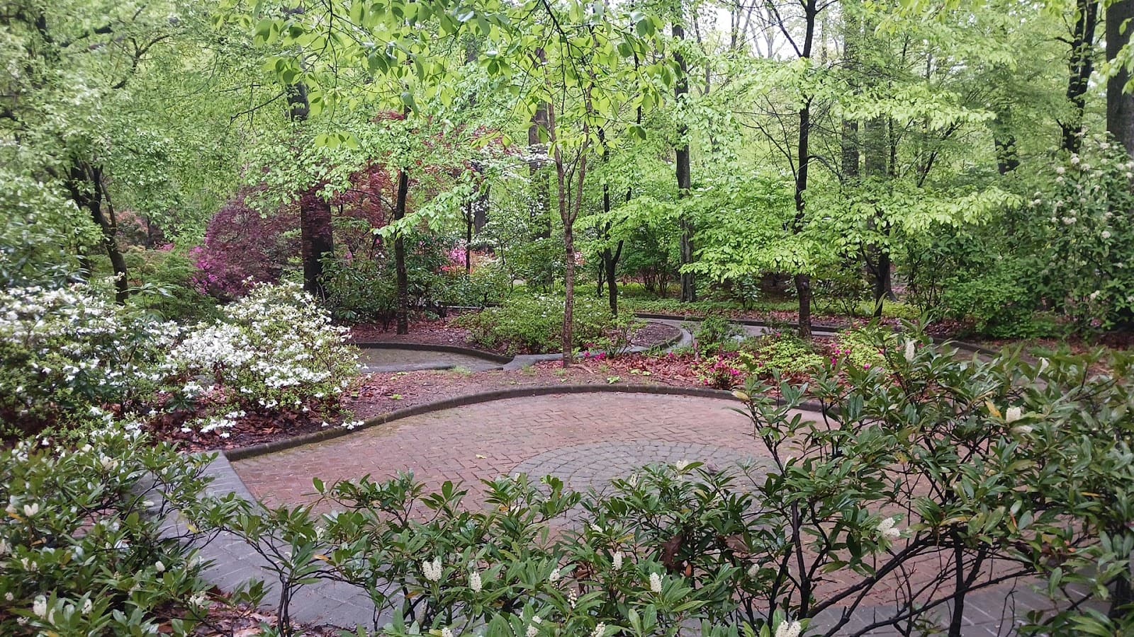 Washington Spring - Image 1