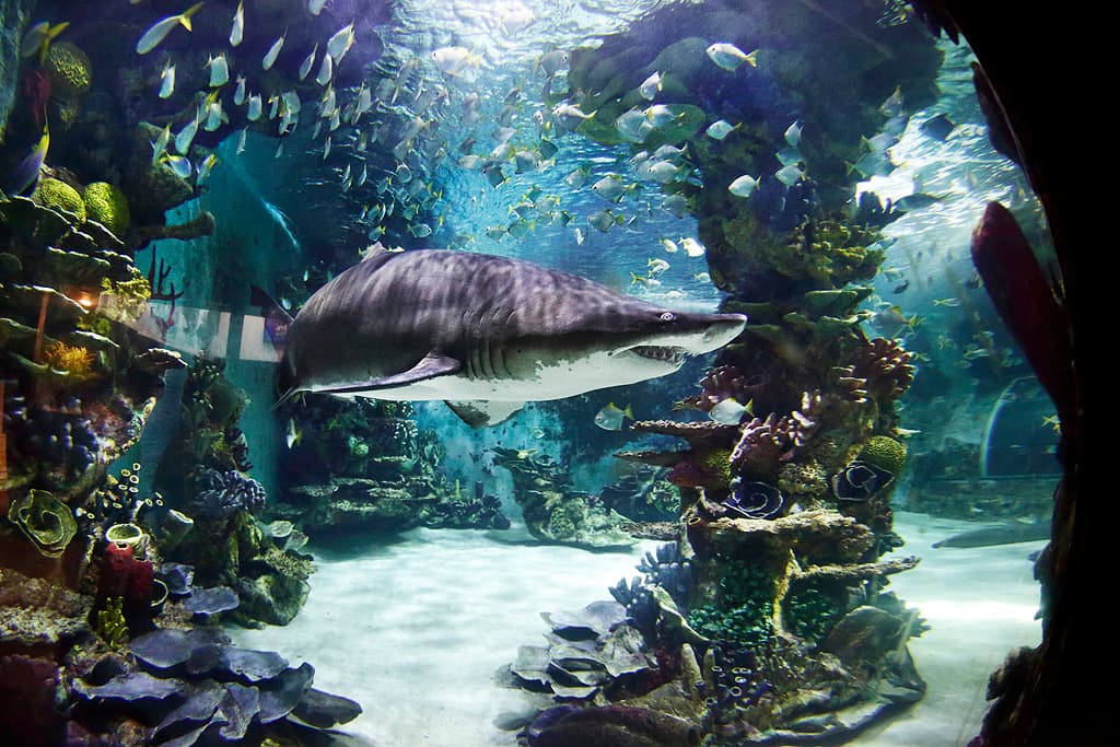 Kolmården Tropicarium - Image 1