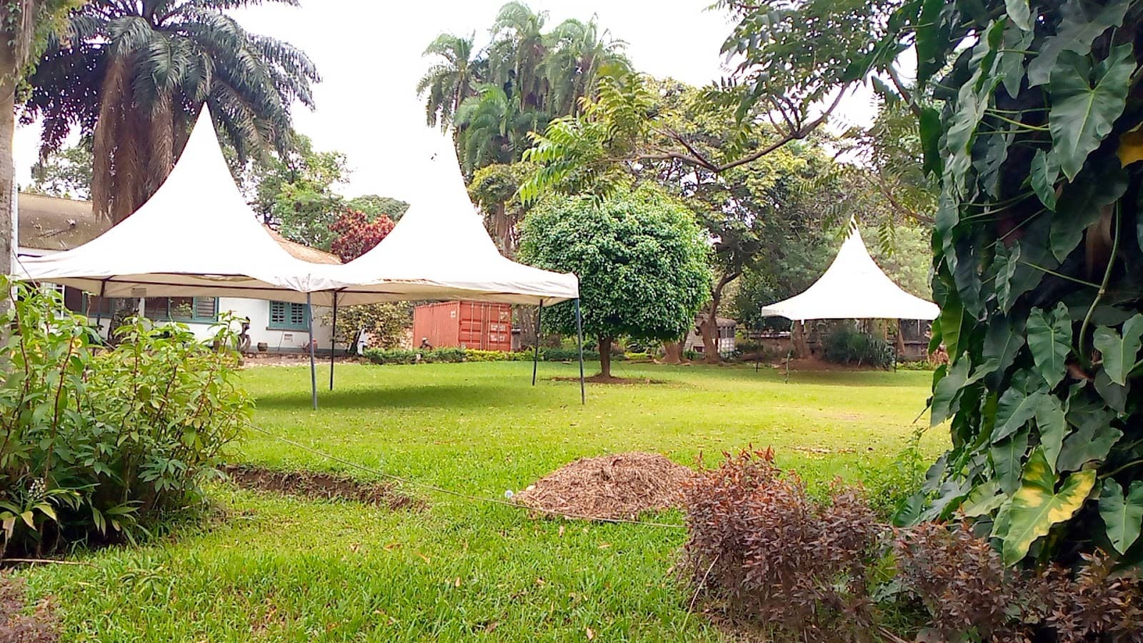 Mukyala Art Exhibition