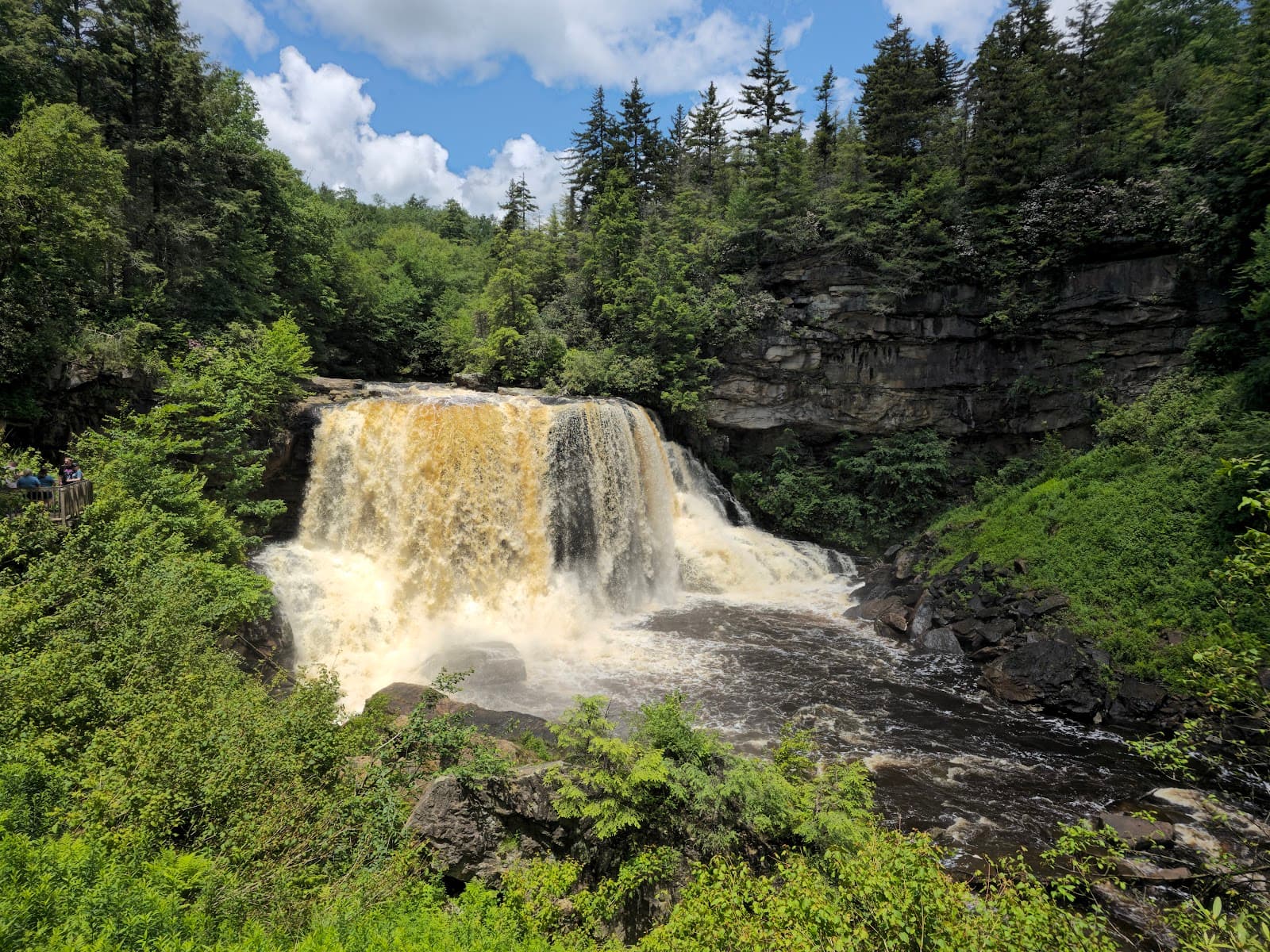 Blackwater Falls State Park - Image 1
