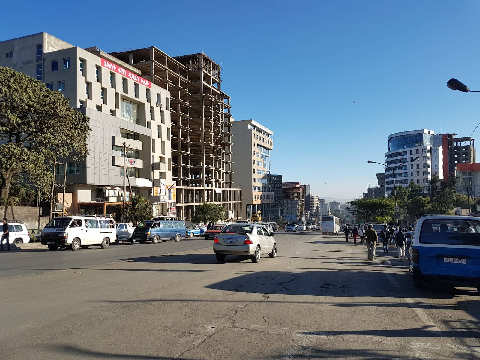 Strathfield Real Estate Showcase