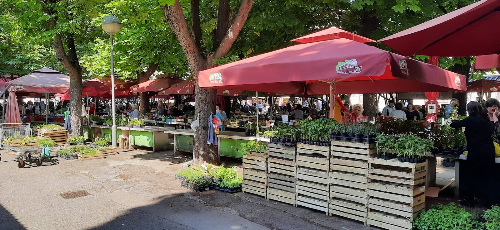 Local Istrian Delicacies