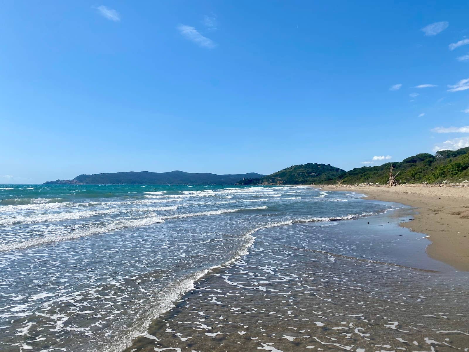 Tranquil Nature Trails