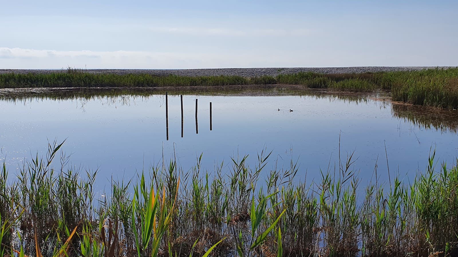Prat de Cabanes–Torreblanca Natural Park - Image 1