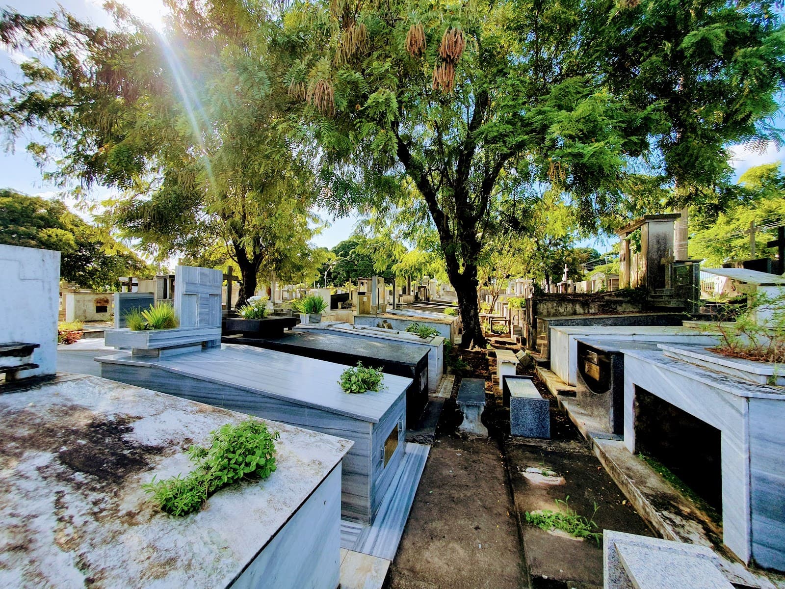 Senhor da Boa Sentença Cemetery - Image 1