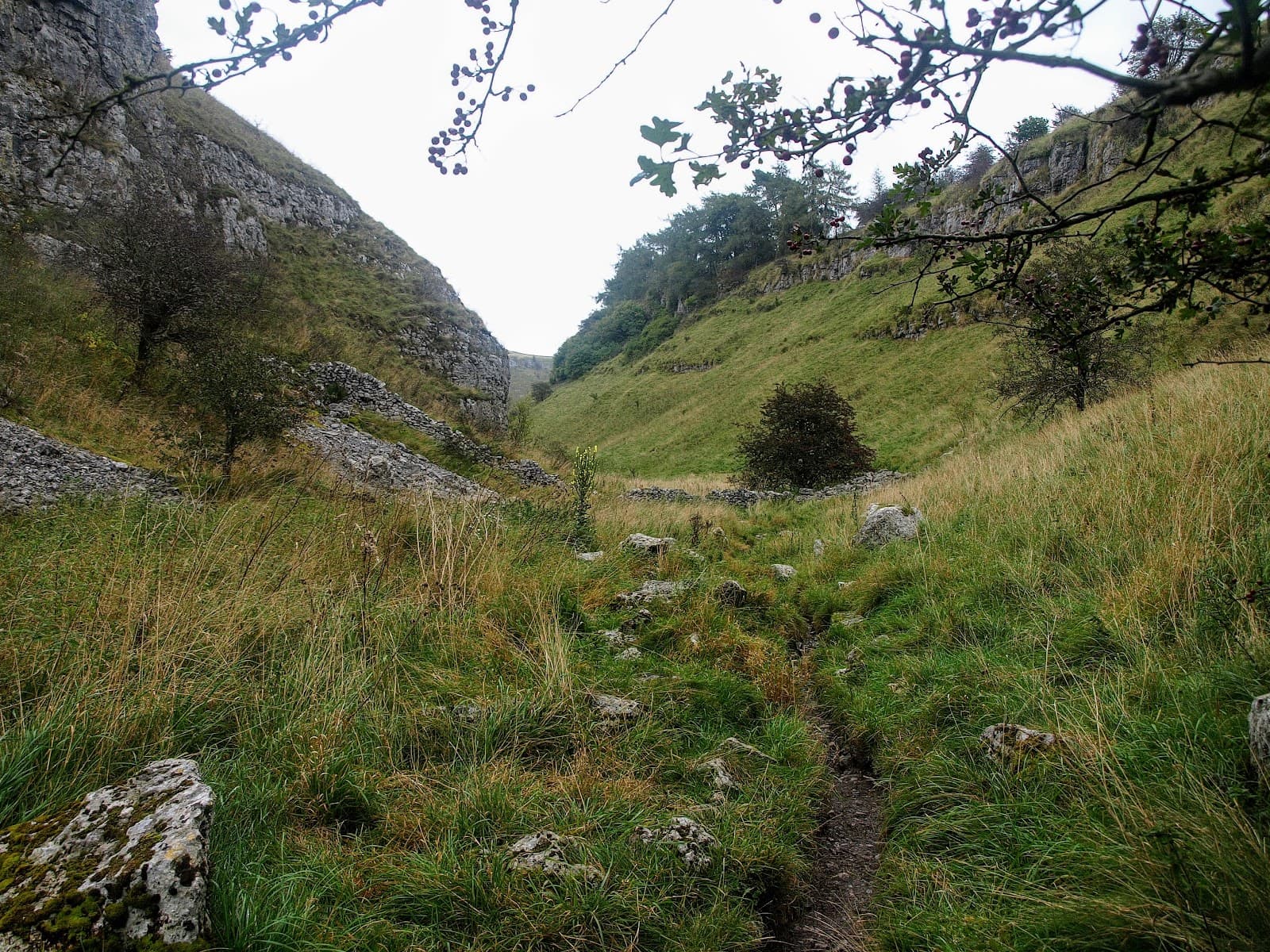 Lathkill Dale Peak District - Image 1