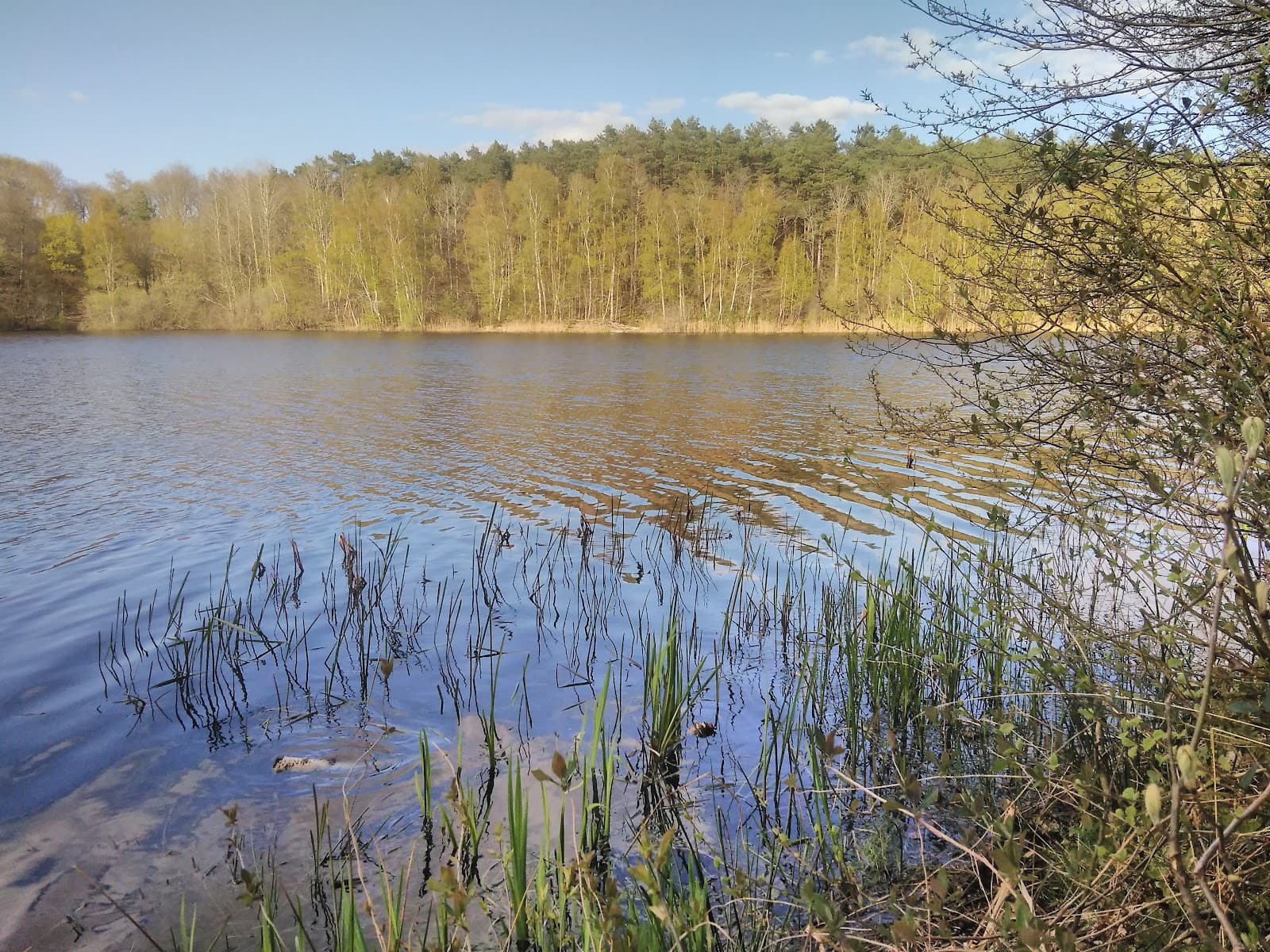 Tunxdorfer Waldsee - Image 1