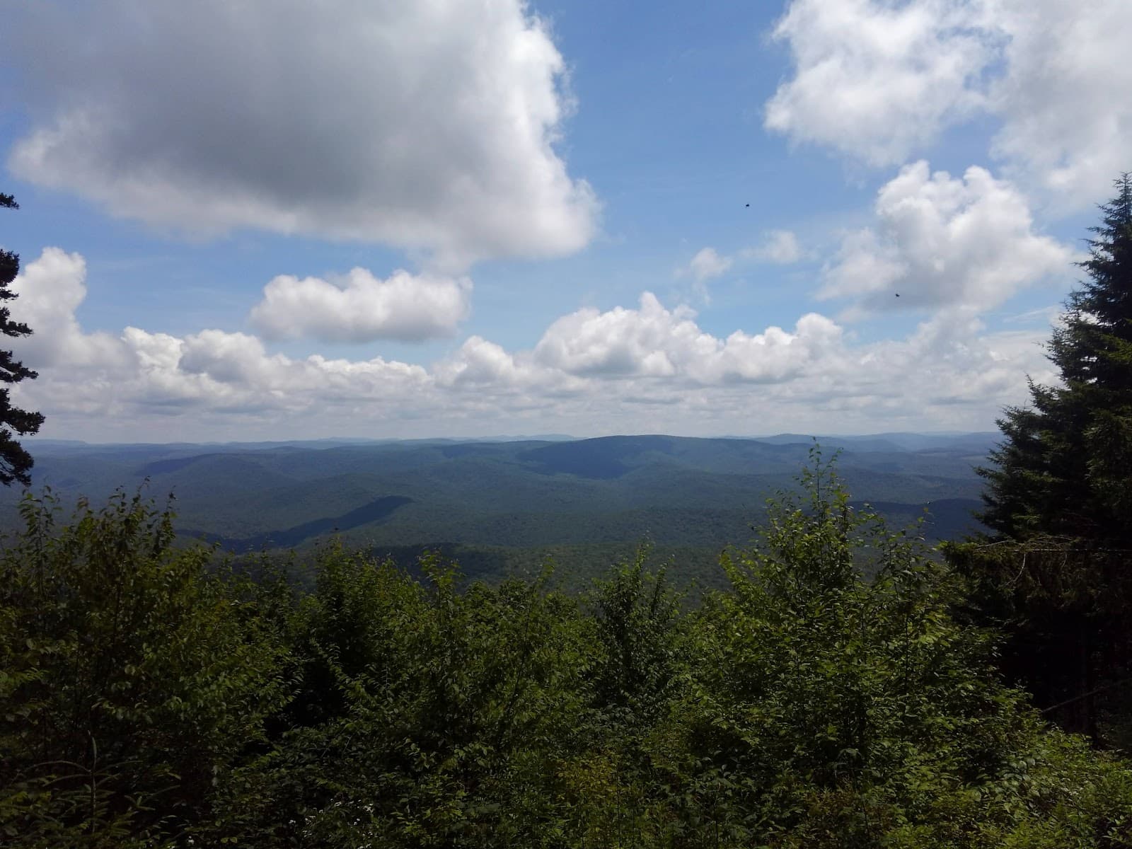 Gaudineer Scenic Area - Image 1