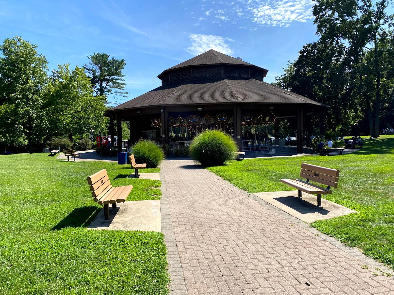 Walden Pond Wildlife