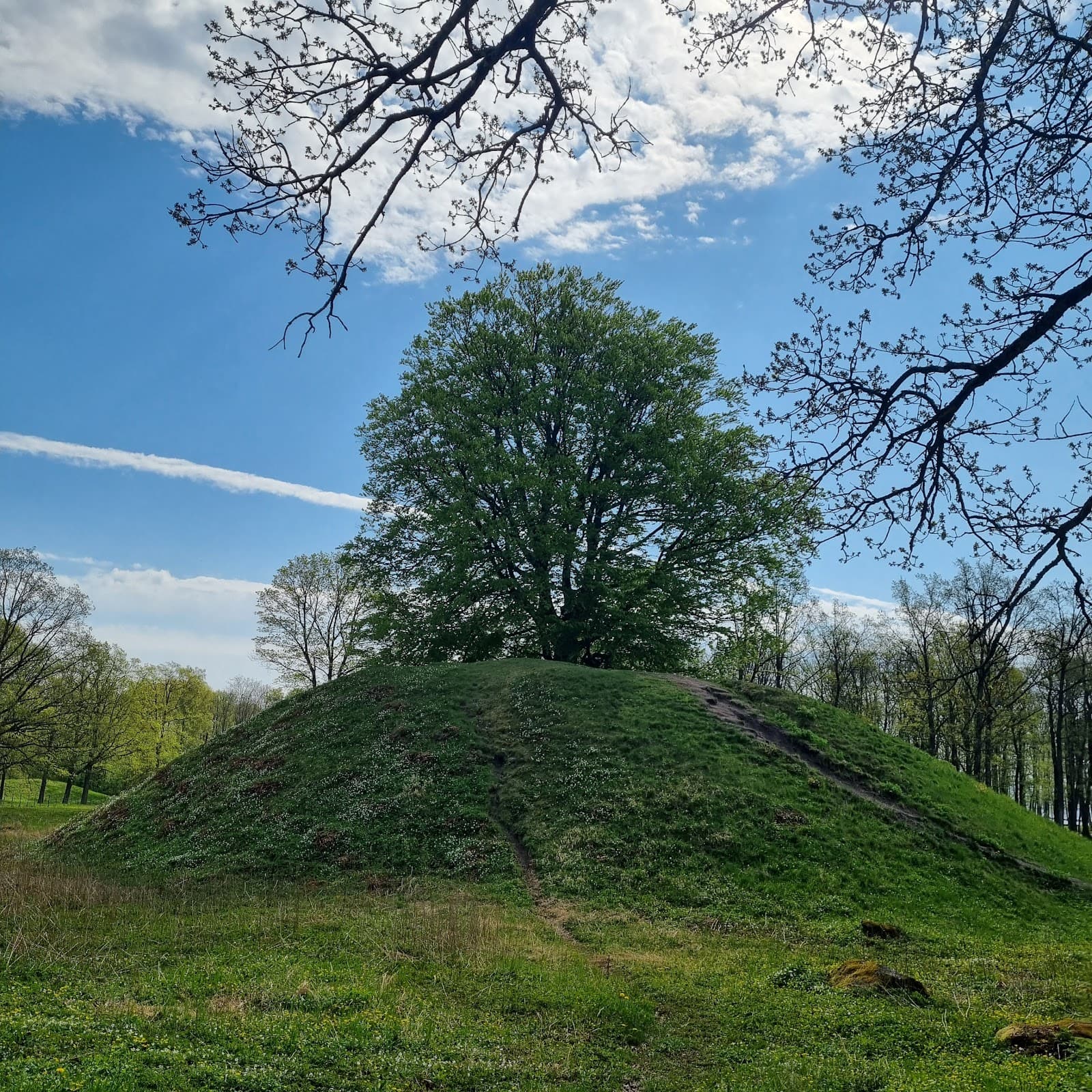 Borre Mound Cemetery - Image 1