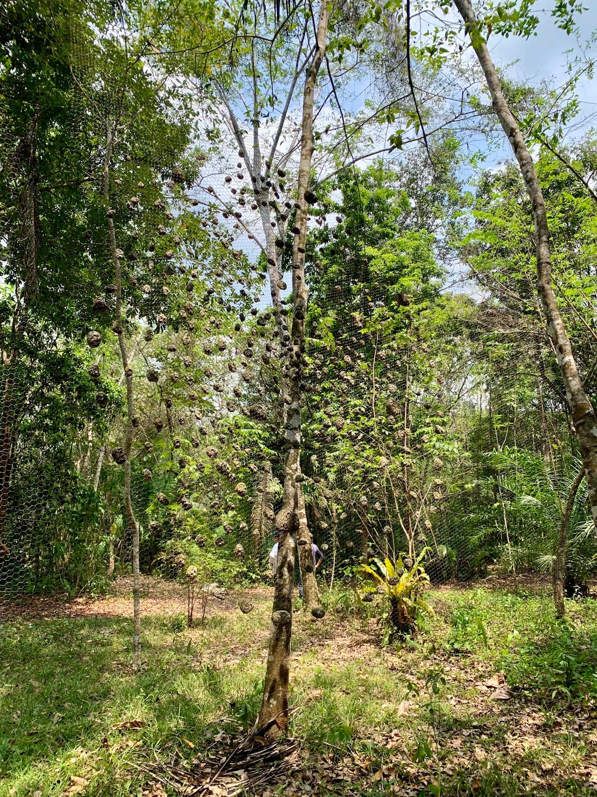 Poustinia Land Art Park - Image 1