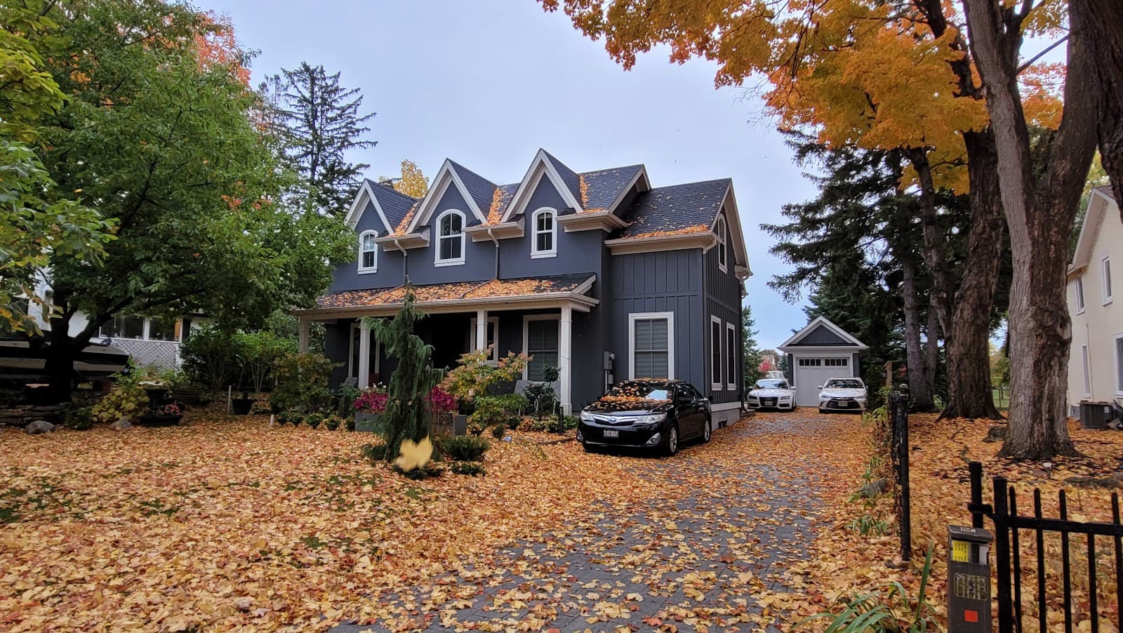 Meadowvale - Image 1