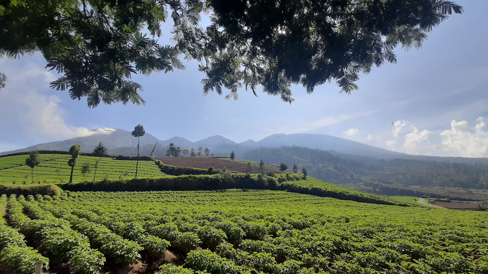 Brakseng Viewpoint - Image 1