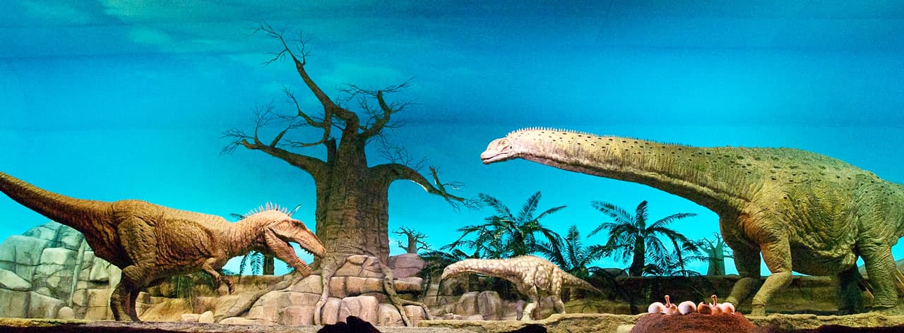 Gondwana – Das Praehistorium - Image 1