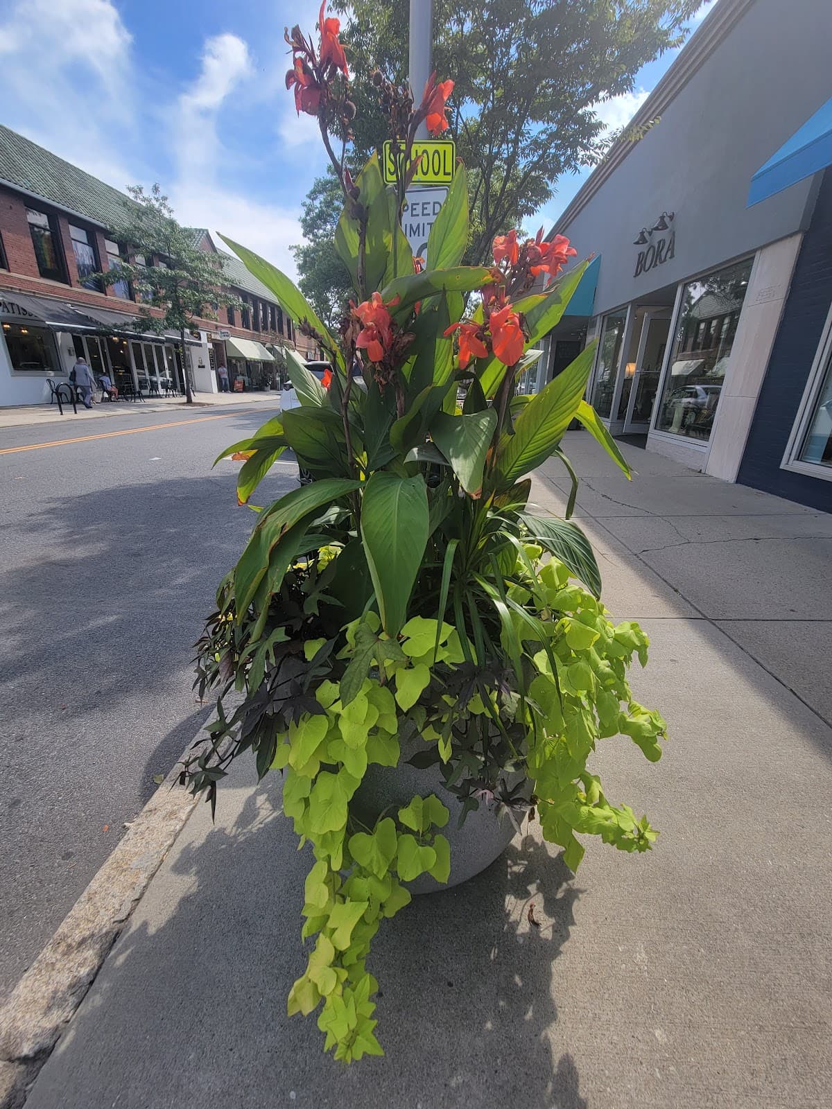 Wayland Square - Image 1