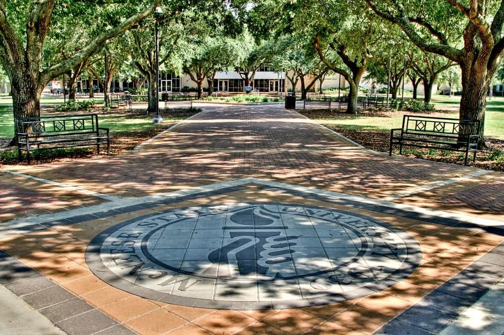 McNeese State University - Image 1