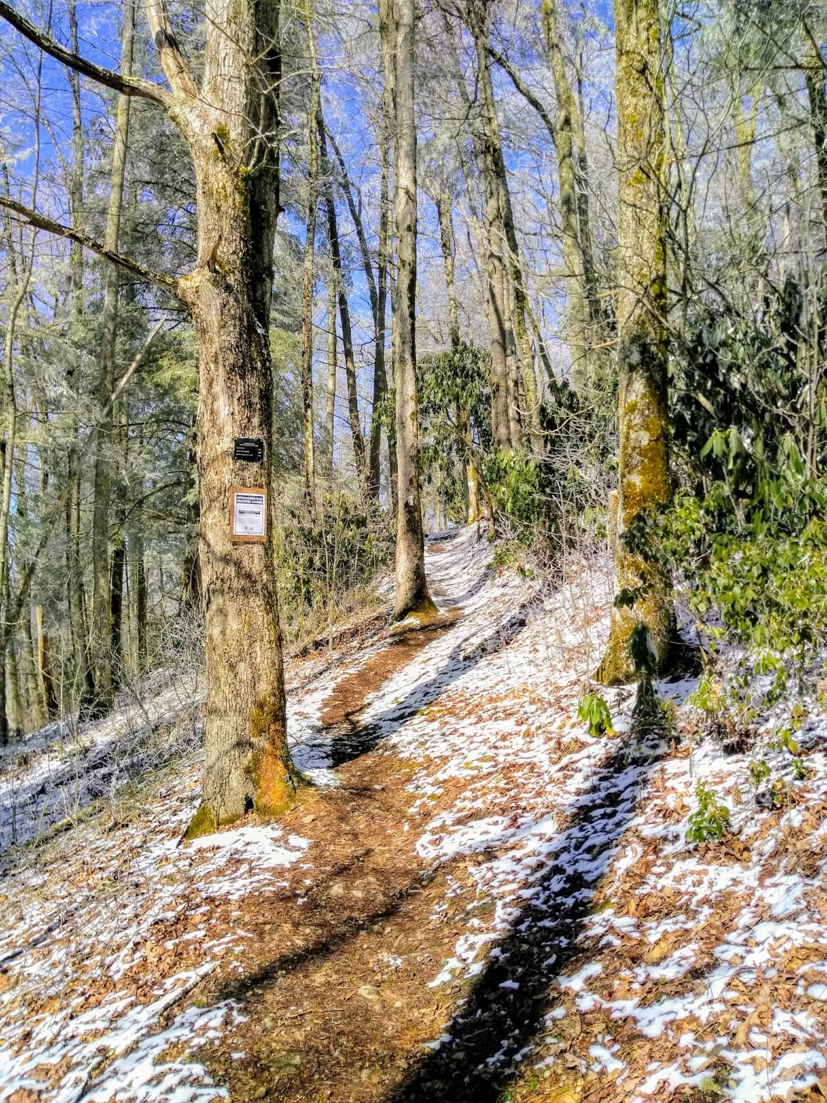 Beauty Spot Overlook