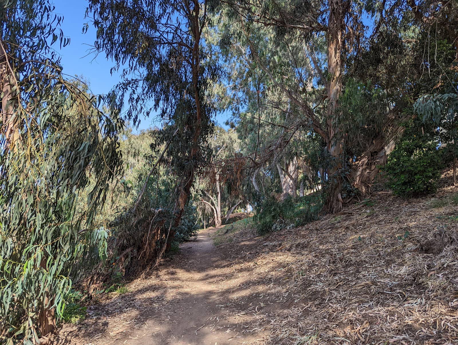 Historical Monument Stones