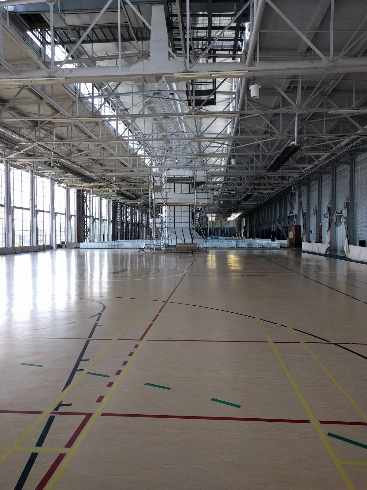 Local Artist Showcase