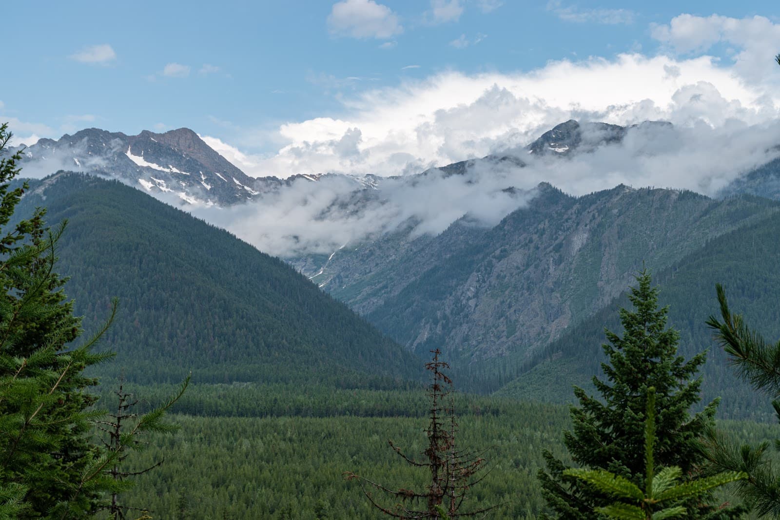 Cabinet Mountains Wilderness - Image 1