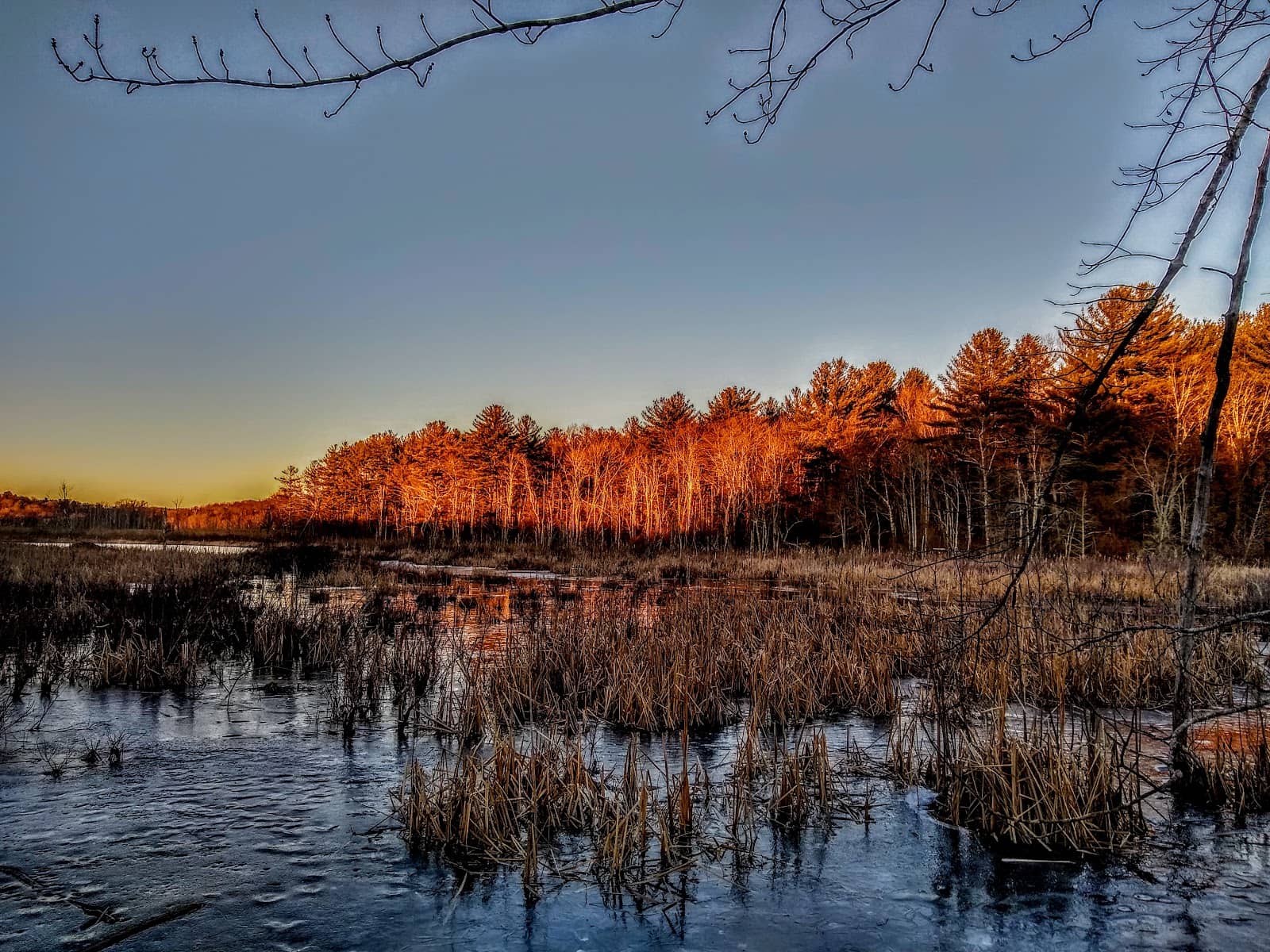 Birdwatching Opportunities