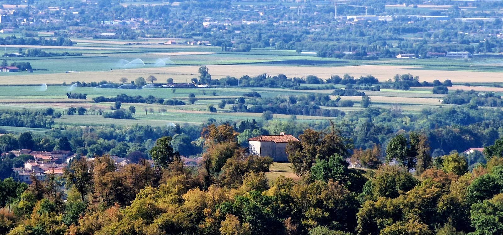 Local Italian Markets
